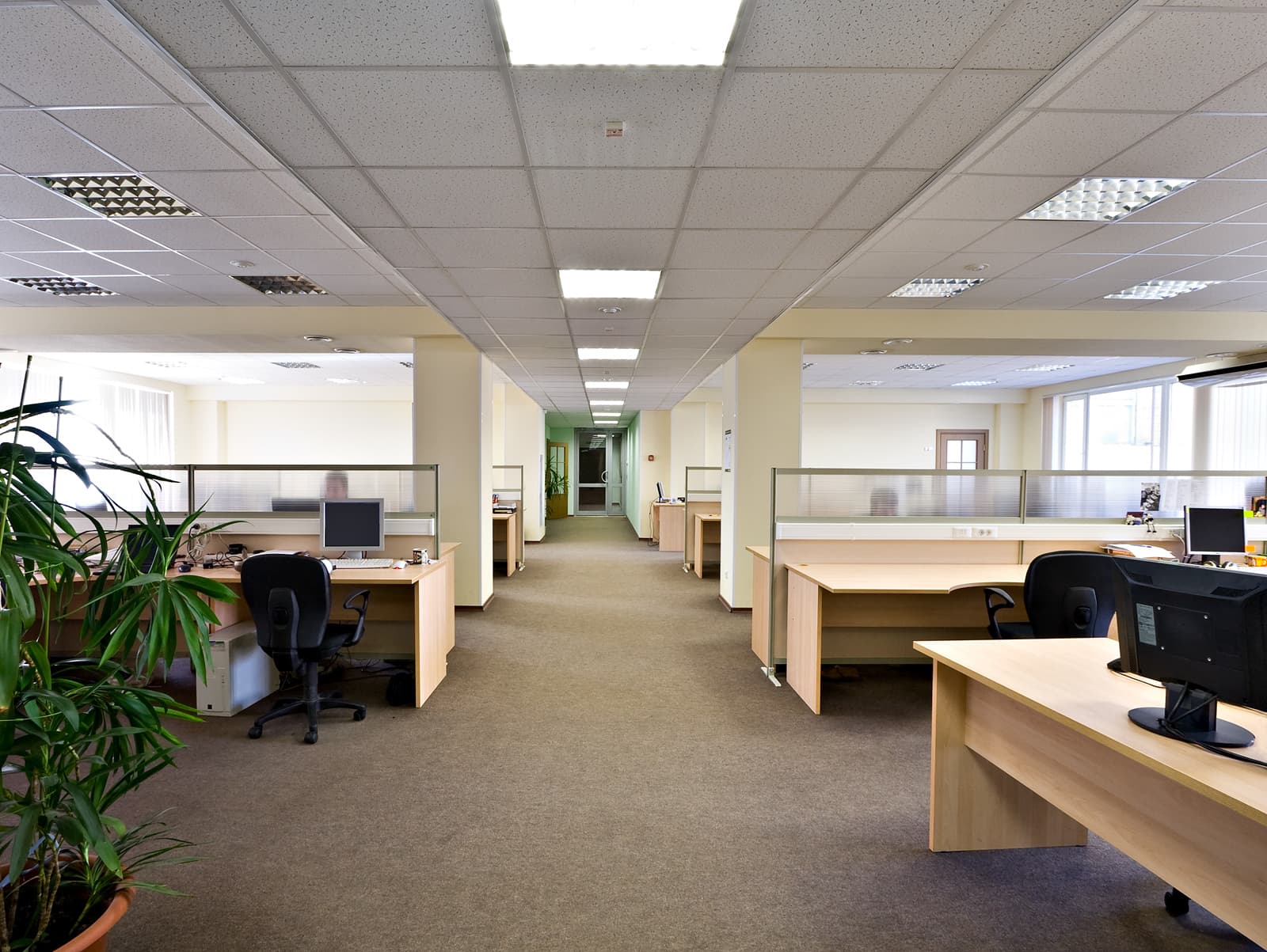 Commercial office fit-out