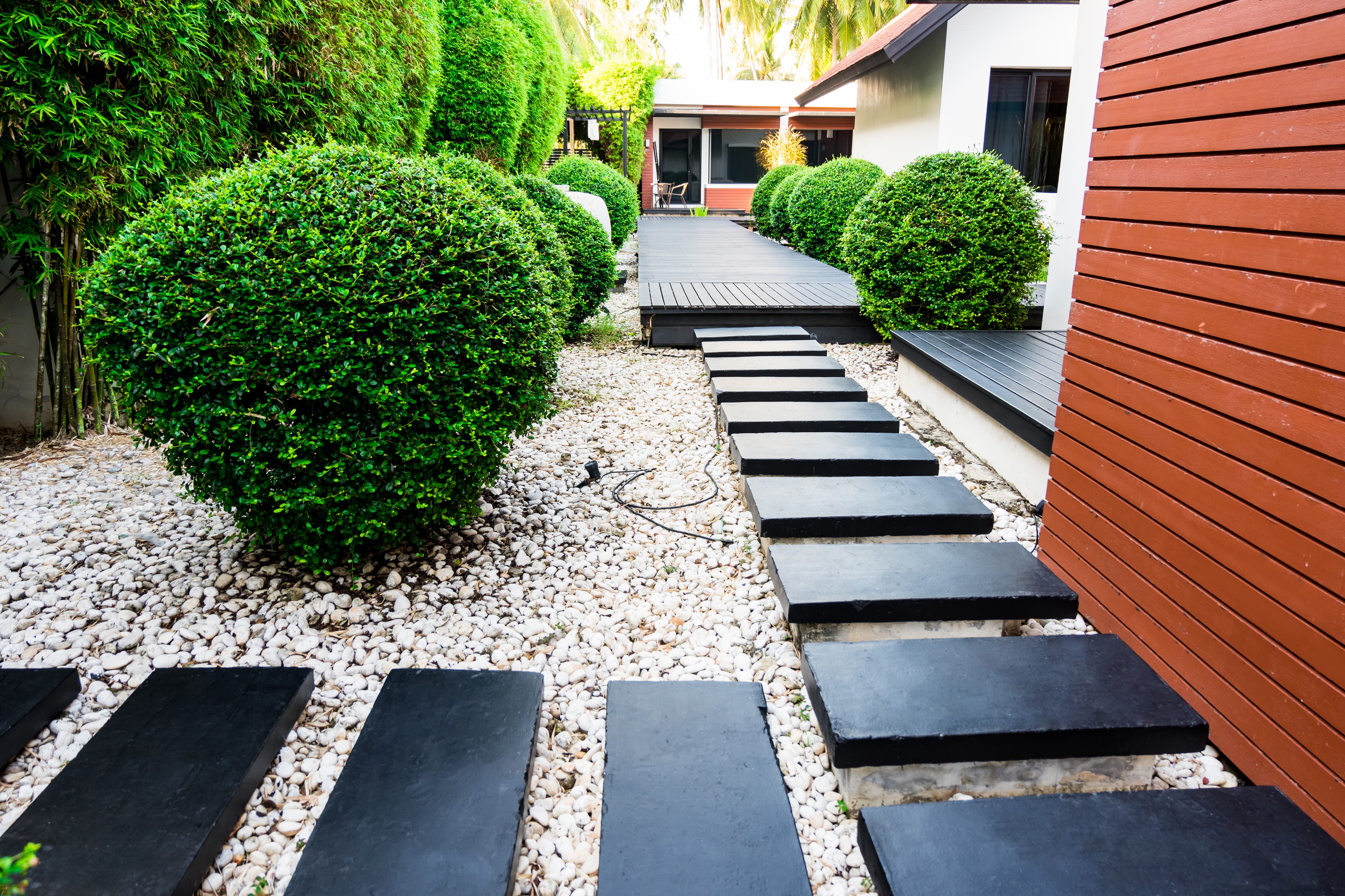 Backyard landscaping